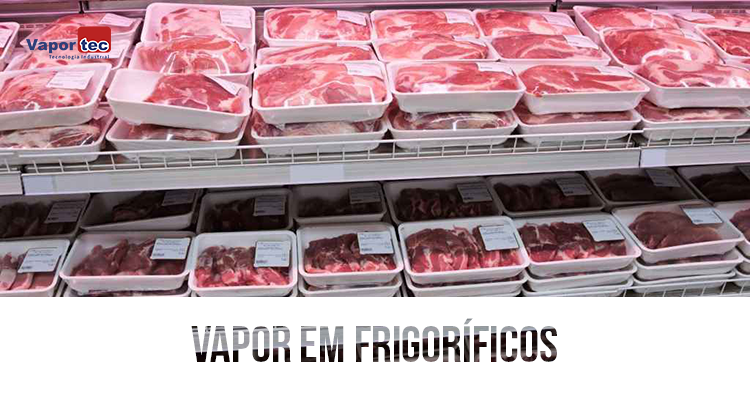 vapor-em-frigorificos